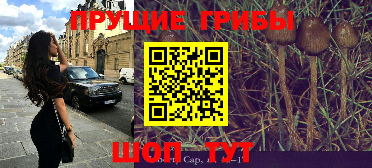 Псилоцибиновые грибы мицелий Калуга