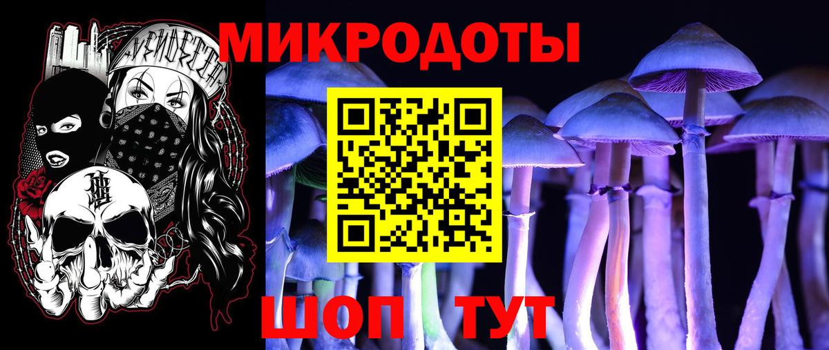 Псилоцибиновые грибы Psilocybe  Галлюциногенные грибы Psilocybe  Вход с VPN  Калуга 